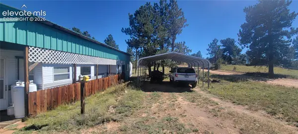 505 Buck Drive, Guffey, CO 80820