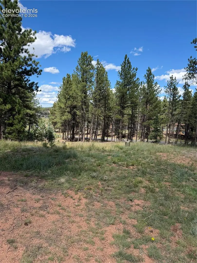 1396 Roberts Ranch Road, Woodland Park, CO 80863 - #1
