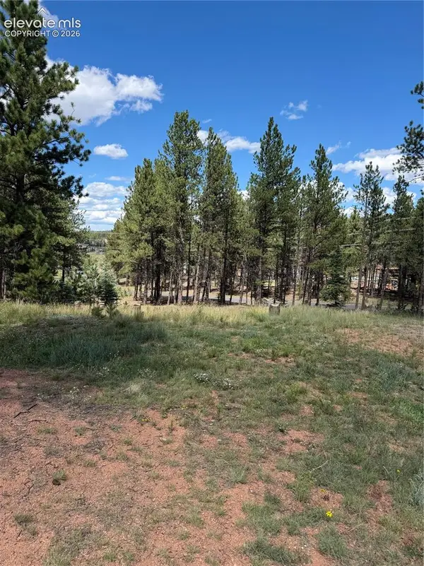 1396 Roberts Ranch Road, Woodland Park, CO 80863