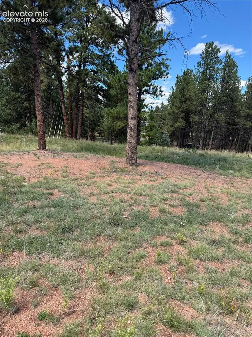 1396 Roberts Ranch Road, Woodland Park, CO 80863 - #2