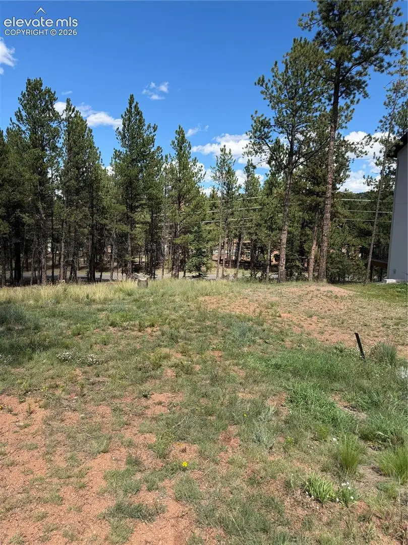 1396 Roberts Ranch Road, Woodland Park, CO 80863 - #3