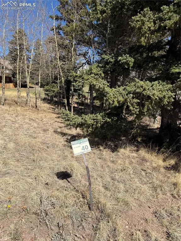 405 Meadow Park Drive, Divide, CO 80814 - #1