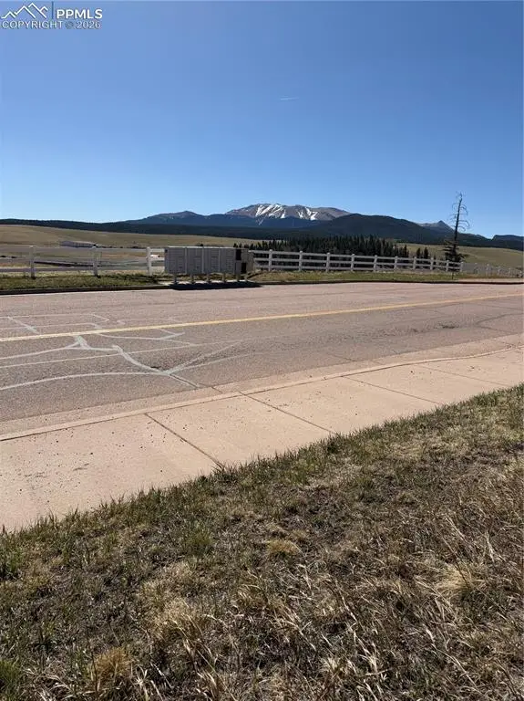405 Meadow Park Drive, Divide, CO 80814 - #2