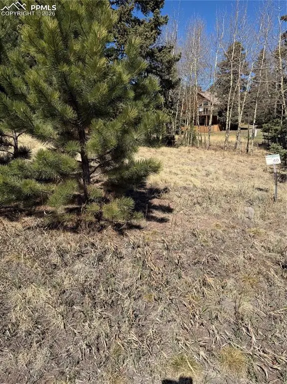 405 Meadow Park Drive, Divide, CO 80814 - #3