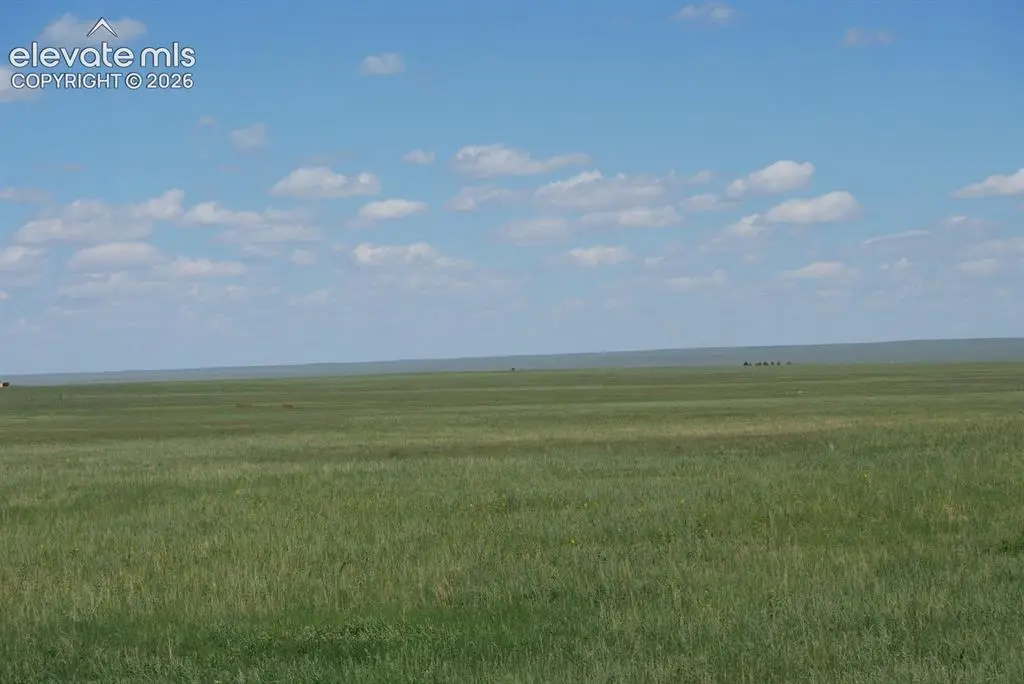 # Blasingame Road, Ramah, CO 80832 - #1