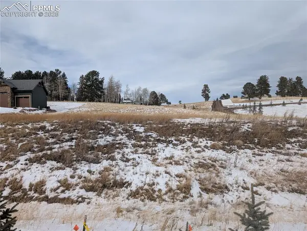 307 Pinaceae Heights, Divide, CO 80814