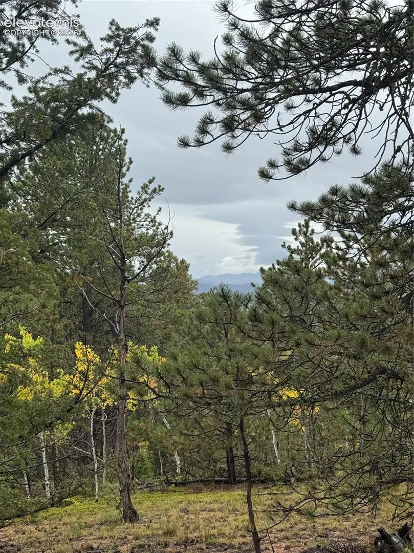 7935 County Road 51, Divide, CO 80814 - #1
