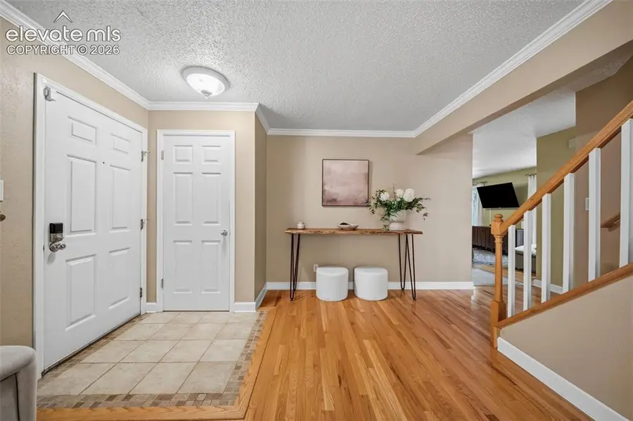 202 Blanca Court, Colorado Springs, CO 80919 - #3