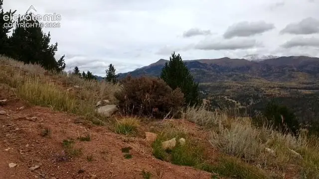 Highway 67, Cripple Creek, CO 80813 - #1