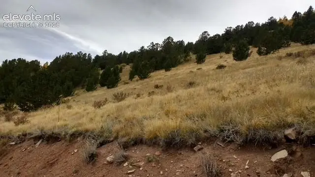Highway 67, Cripple Creek, CO 80813 - #3