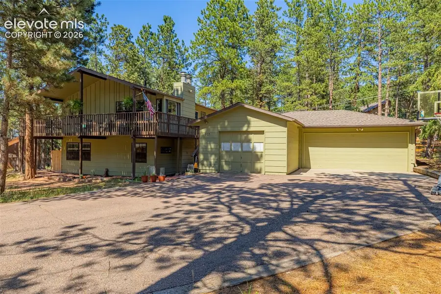 917 Centre Camino Na, Woodland Park, CO 80863 - #2