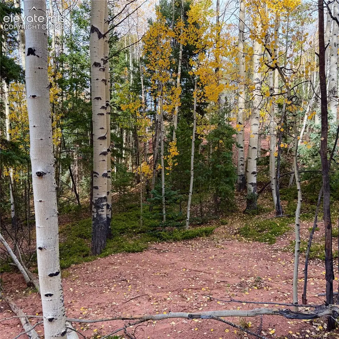 1341 Calcite Drive, Divide, CO 80814 - #1