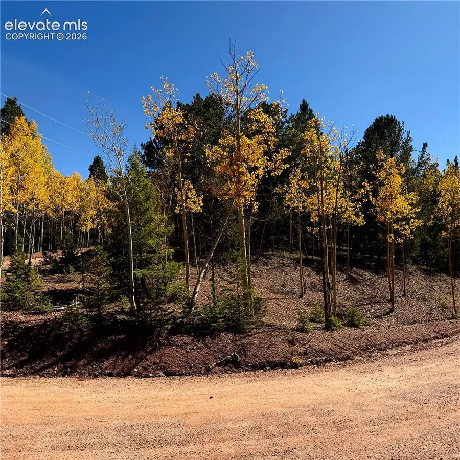 1341 Calcite Drive, Divide, CO 80814 - #2