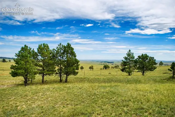17265 Warriors Path Drive, Peyton, CO 80831