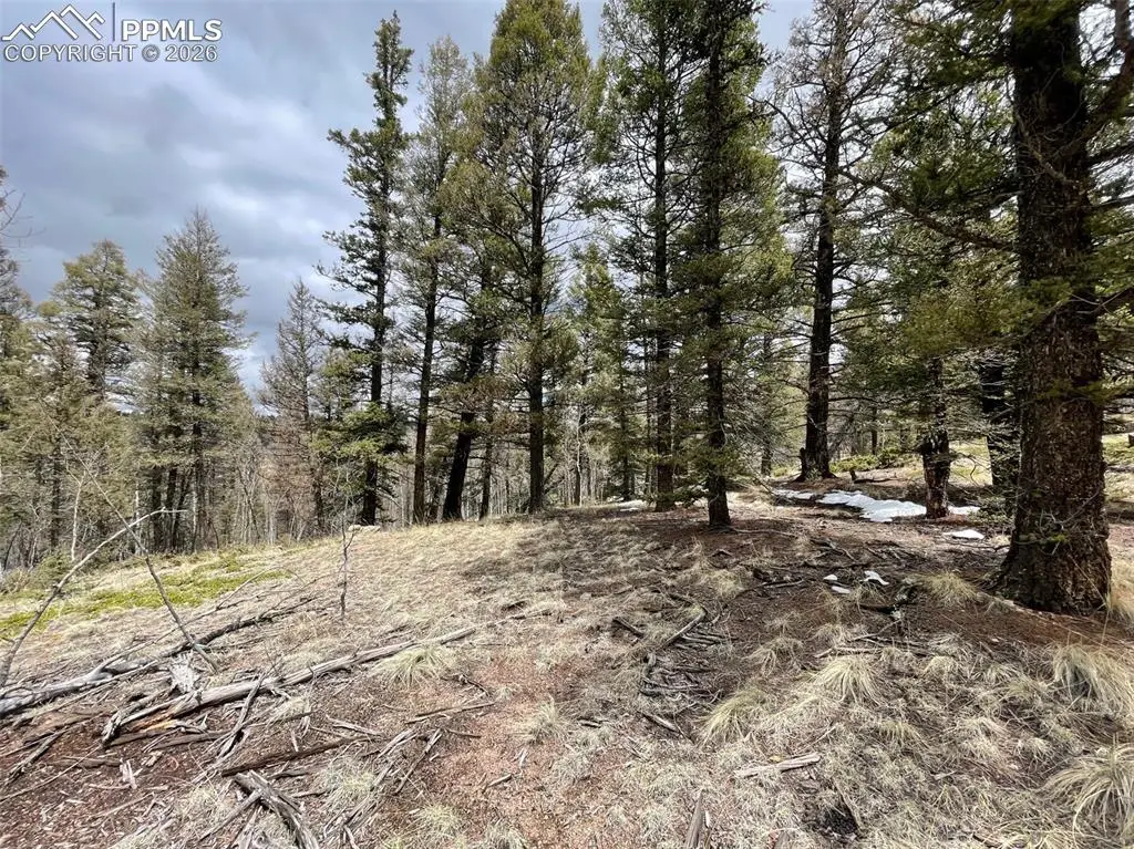 228 Alpine Drive, Florissant, CO 80816 - #1