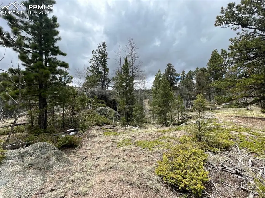 228 Alpine Drive, Florissant, CO 80816 - #3