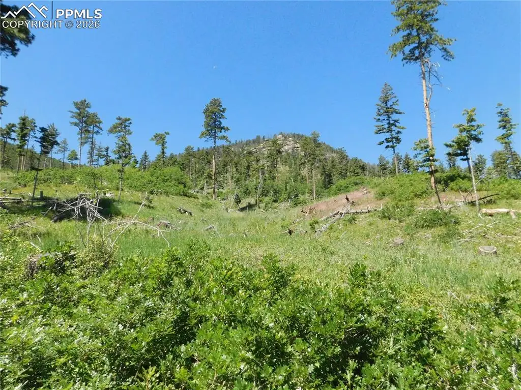 8249 Yuma Circle, Larkspur, CO 80118 - #1