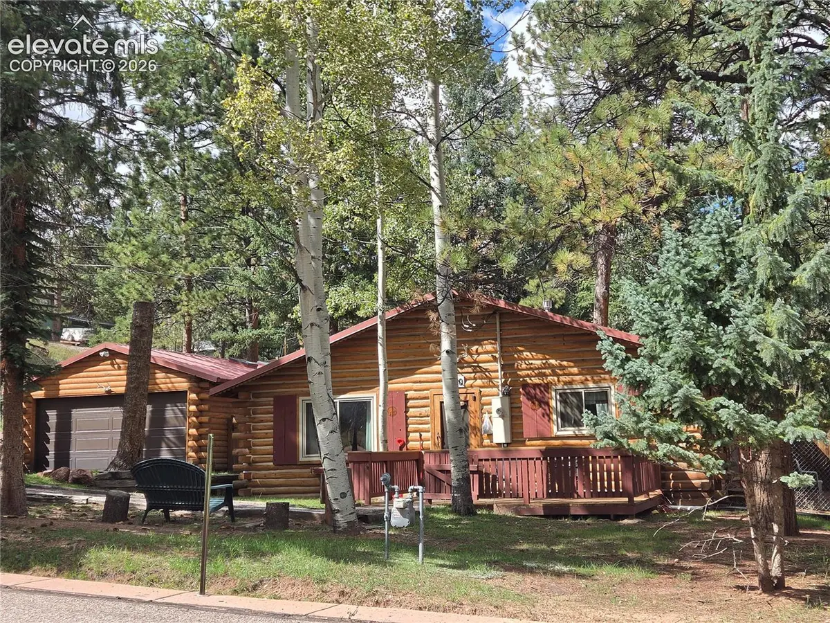 1020 W Lorraine Avenue, Woodland Park, CO 80863 - #1