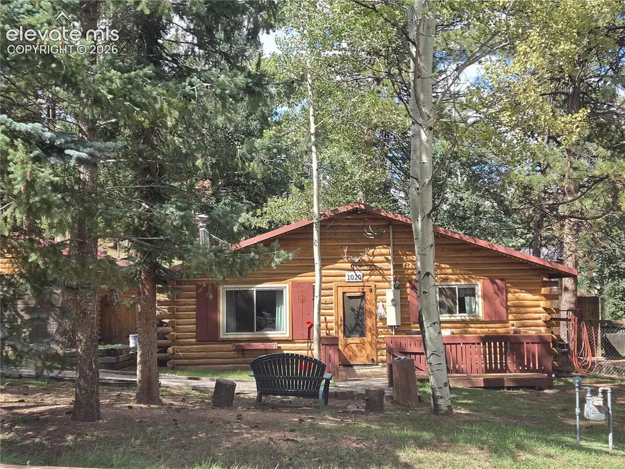 1020 W Lorraine Avenue, Woodland Park, CO 80863 - #2