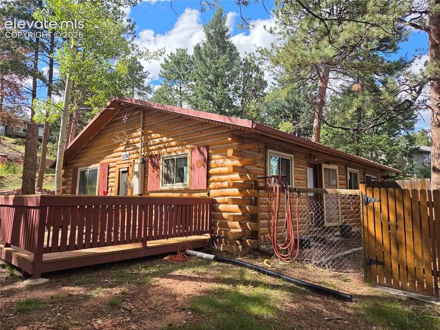1020 W Lorraine Avenue, Woodland Park, CO 80863 - #3
