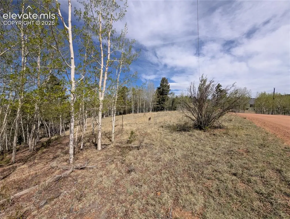905 May Queen Drive, Cripple Creek, CO 80813 - #1