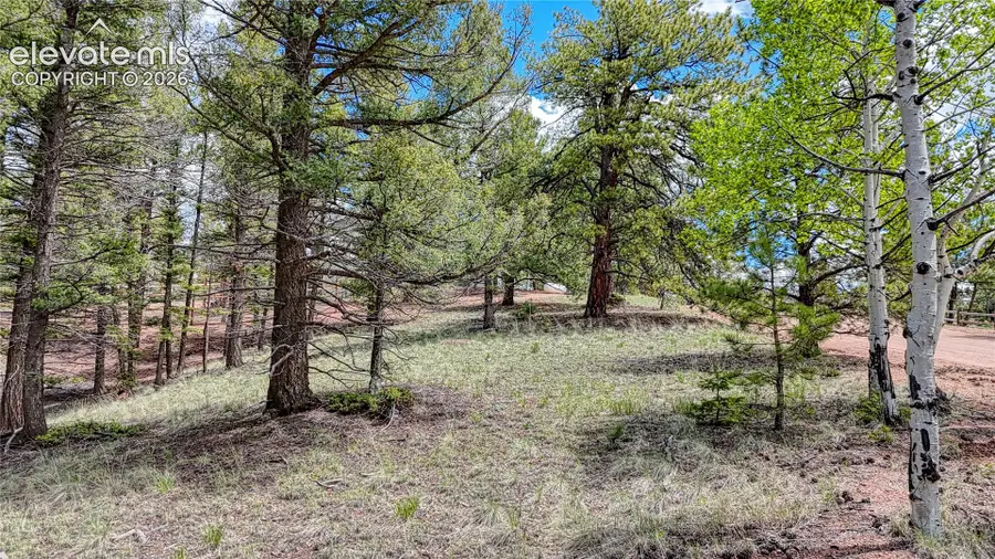 26 N Eldorado Circle, Florissant, CO 80816 - #3