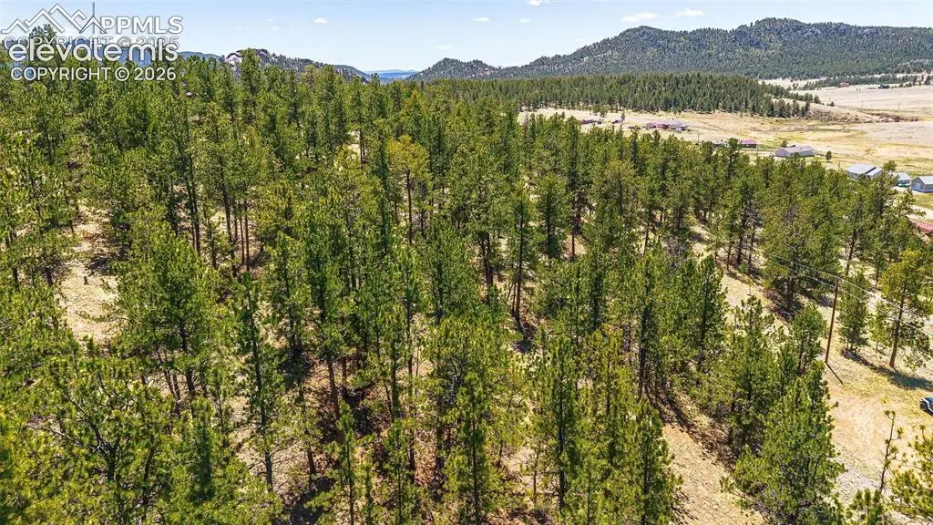 56 Dallas Park Circle, Florissant, CO 80816 - #1