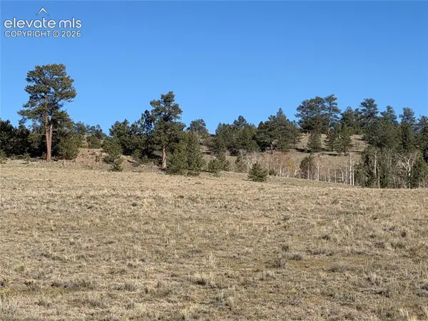 LOT 2220 Caddo Road, Hartsel, CO 80449