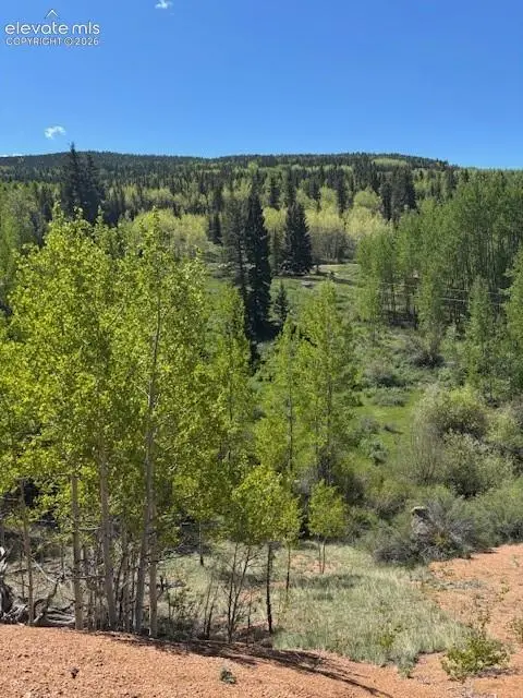 124 Yorktown Drive, Cripple Creek, CO 80813 - #1