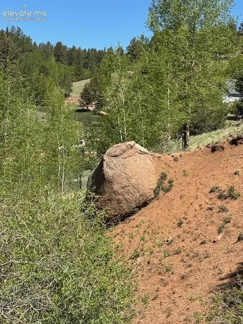 124 Yorktown Drive, Cripple Creek, CO 80813 - #3