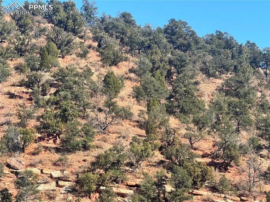 Tarrant Street, Manitou Springs, CO 80829 - Image #2