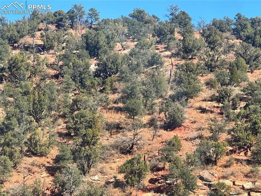 Tarrant Street, Manitou Springs, CO 80829 - Image #3