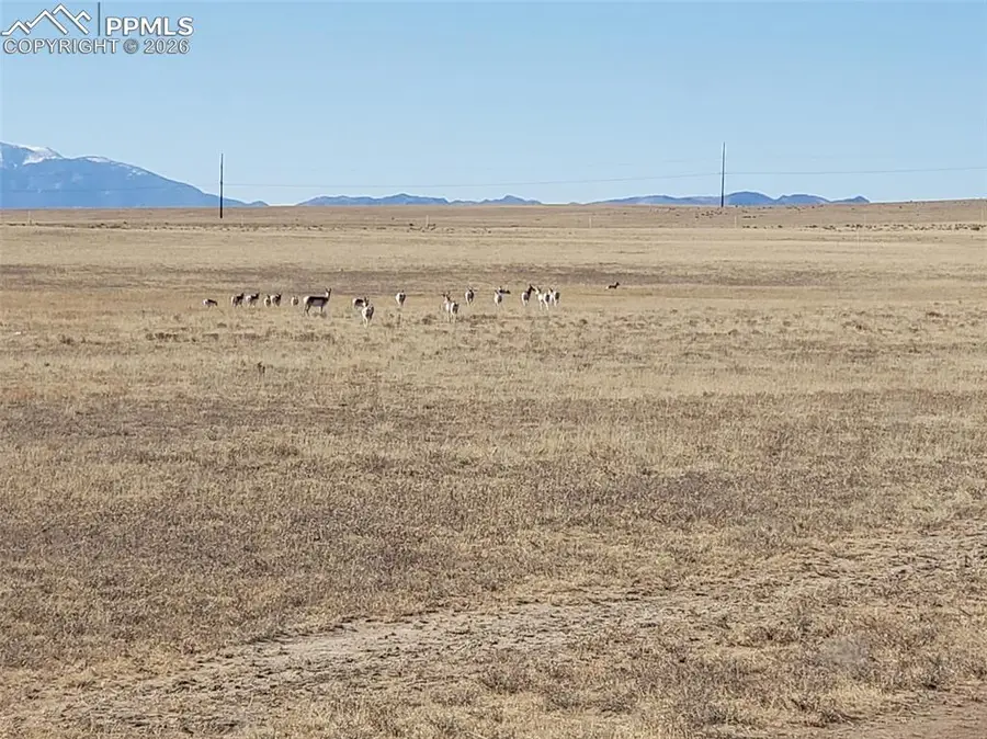 7510 Cowboy Ranch View, Peyton, CO 80831 - #2