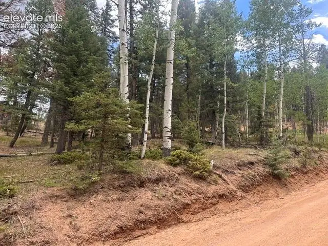 687 Trout Haven Road, Florissant, CO 80816 - #1