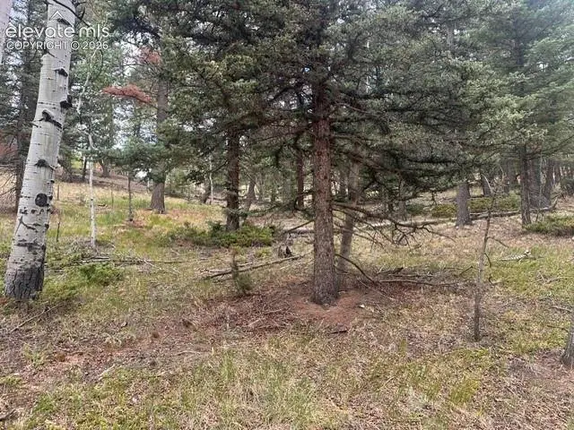 687 Trout Haven Road, Florissant, CO 80816 - #2