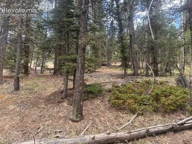 687 Trout Haven Road, Florissant, CO 80816 - #3