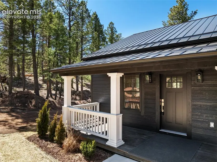 240 Insmont Lane, Florissant, CO 80816 - #3