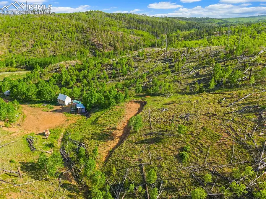 77 Lakeview Circle, Florissant, CO 80816 - #3