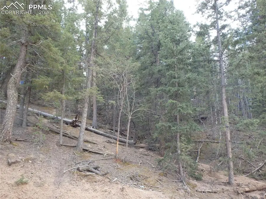 620 Wakanda Trail, Woodland Park, CO 80863 - #3