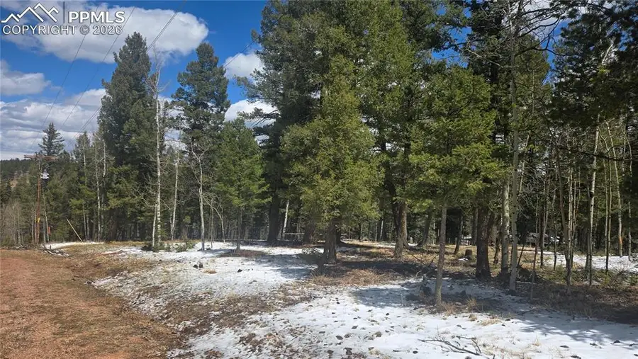 144 Little Bear Peak Road, Florissant, CO 80816 - #2