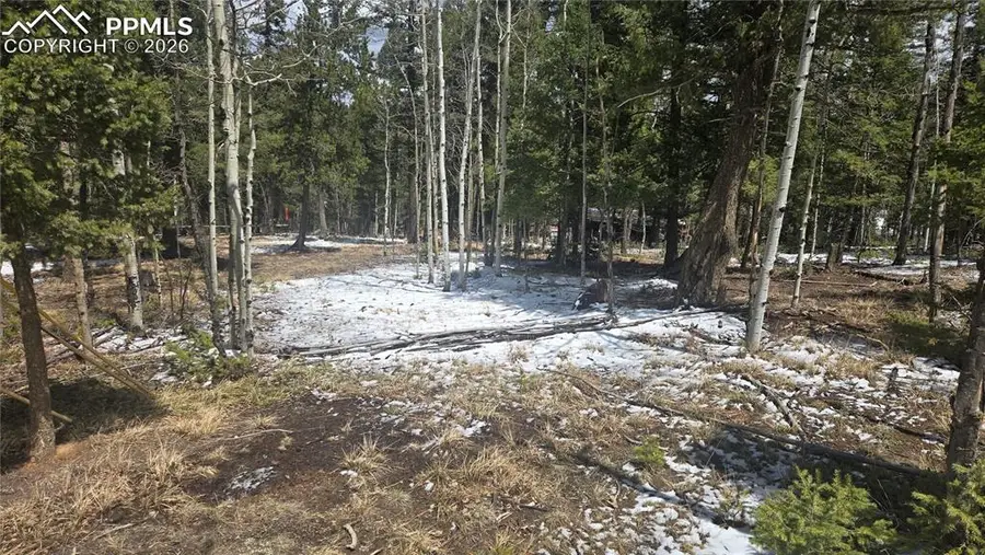 144 Little Bear Peak Road, Florissant, CO 80816 - #3
