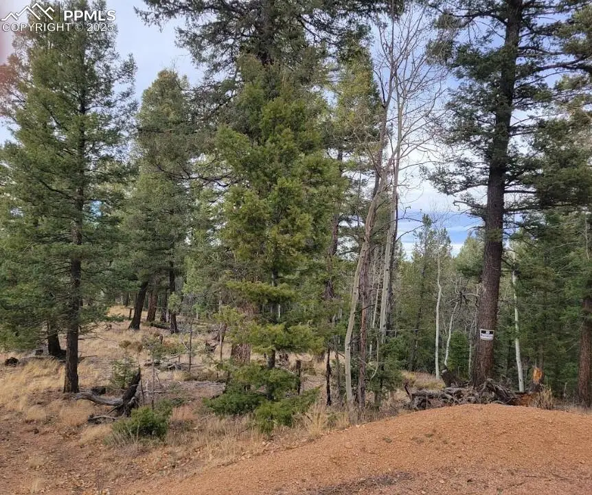 180 Sentinel Way, Florissant, CO 80816 - Image #2