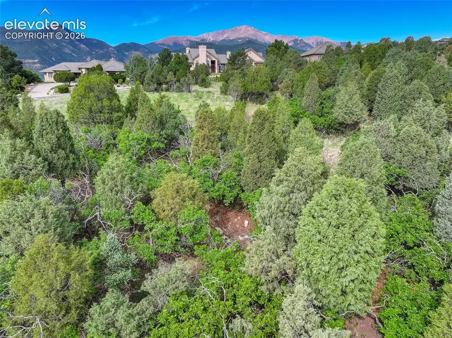 3585 Twisted Oak Circle, Colorado Springs, CO 80904 - #2