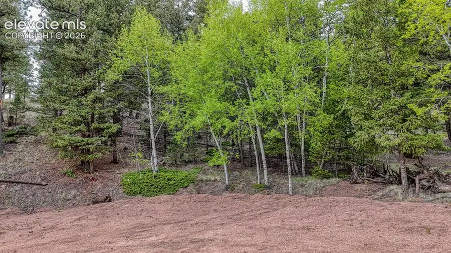 918 Pinon Lane, Florissant, CO 80816 - #3