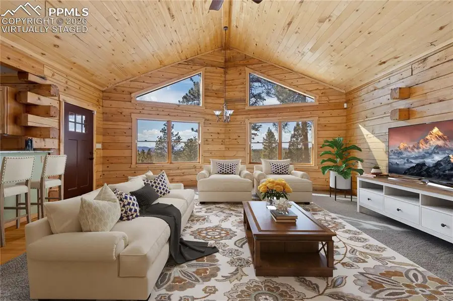 1910 Wildhorn Road, Florissant, CO 80816 - #3