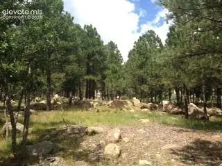 667 Silver Oak Grove, Colorado Springs, CO 80906