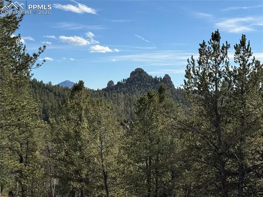 162 Eagle Drive, Divide, CO 80813 - #3