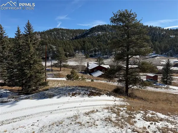 159 W Platte Road, Lake George, CO 80827