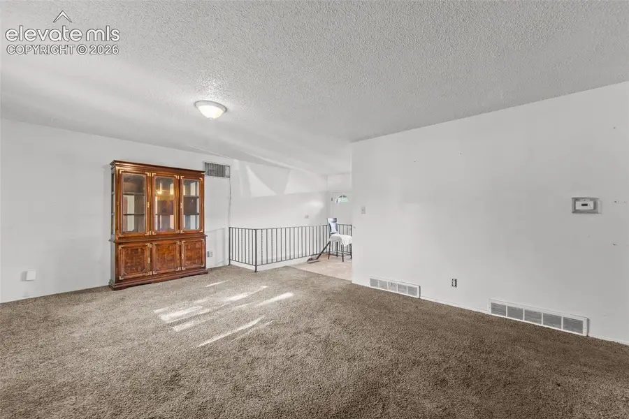717 S Cedar Street, Colorado Springs, CO 80903 - #2