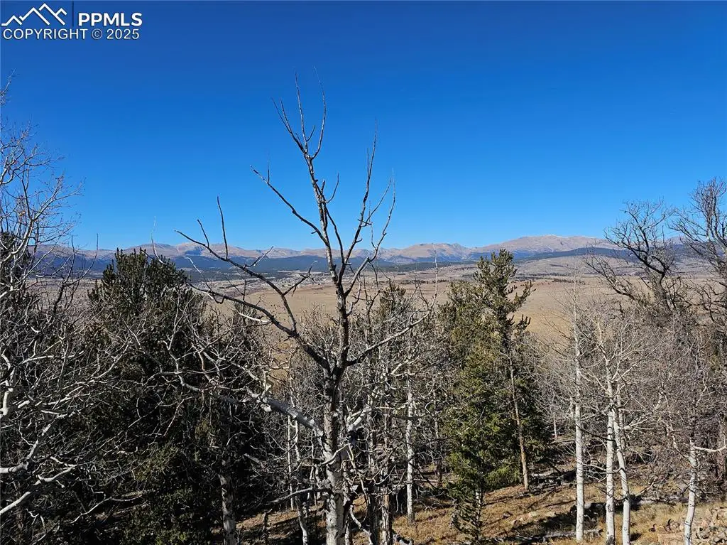 5585 Middle Fork Vista, Fairplay, CO 80440 - Image #1